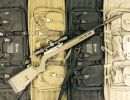ruger 1022 hunter