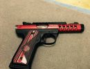 ruger245